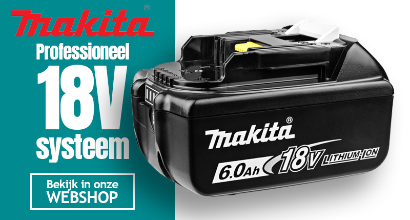 Bosch 12V System
